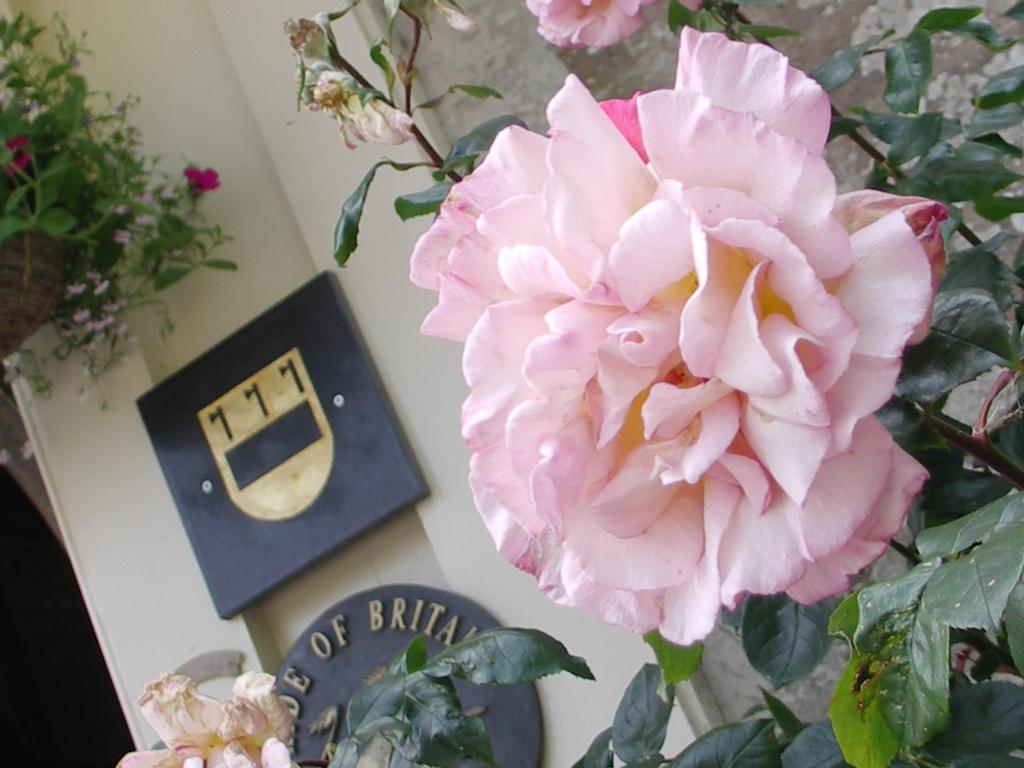 Buckland Tout Saints Hotel Totnes Ngoại thất bức ảnh